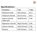 Potassium Chloride small-image